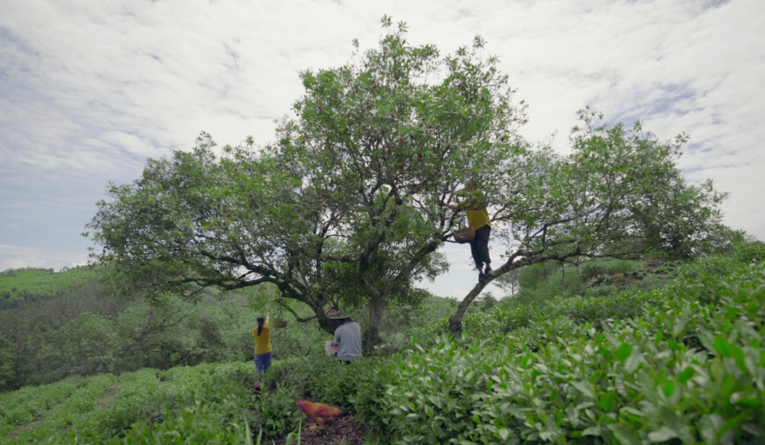 640 (6).png 640 (6).png